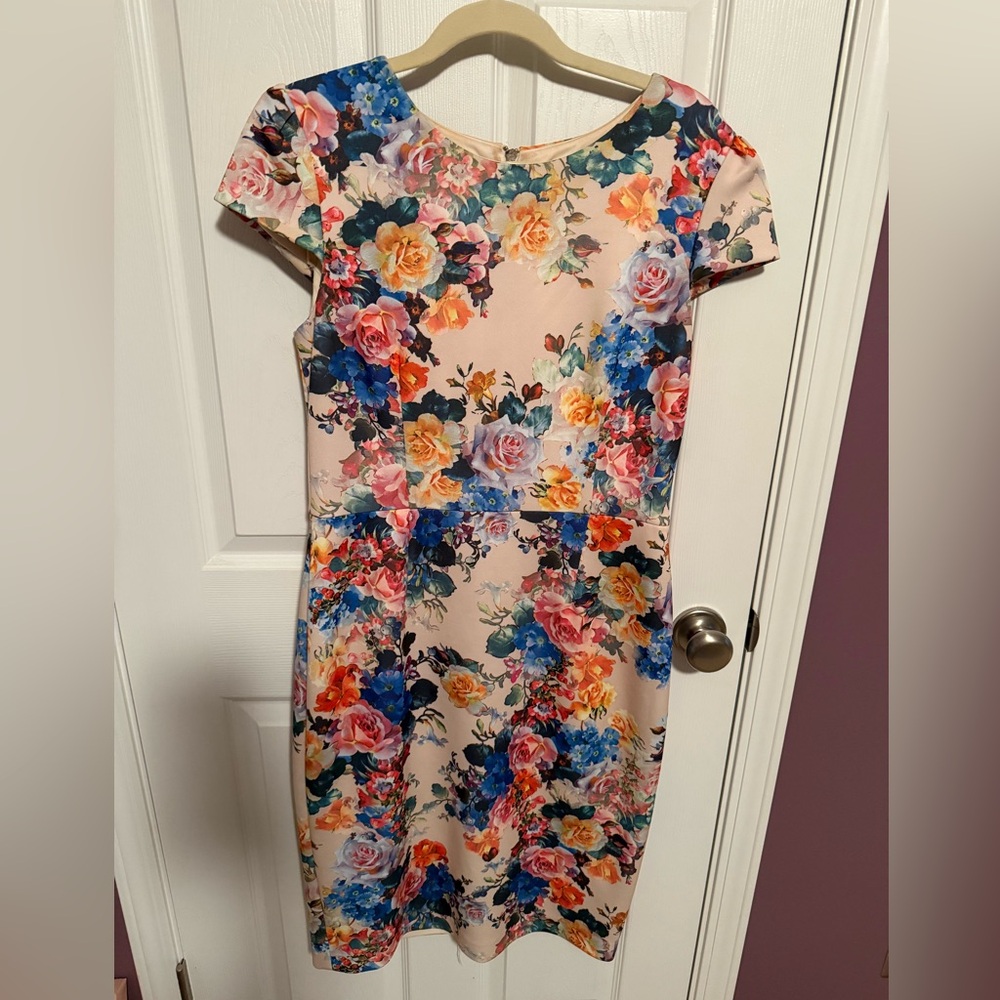 Betsey Johnson floral roses flowers beige blue orange pink gold dress size 12